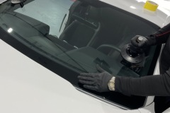 1_Jaguar2
